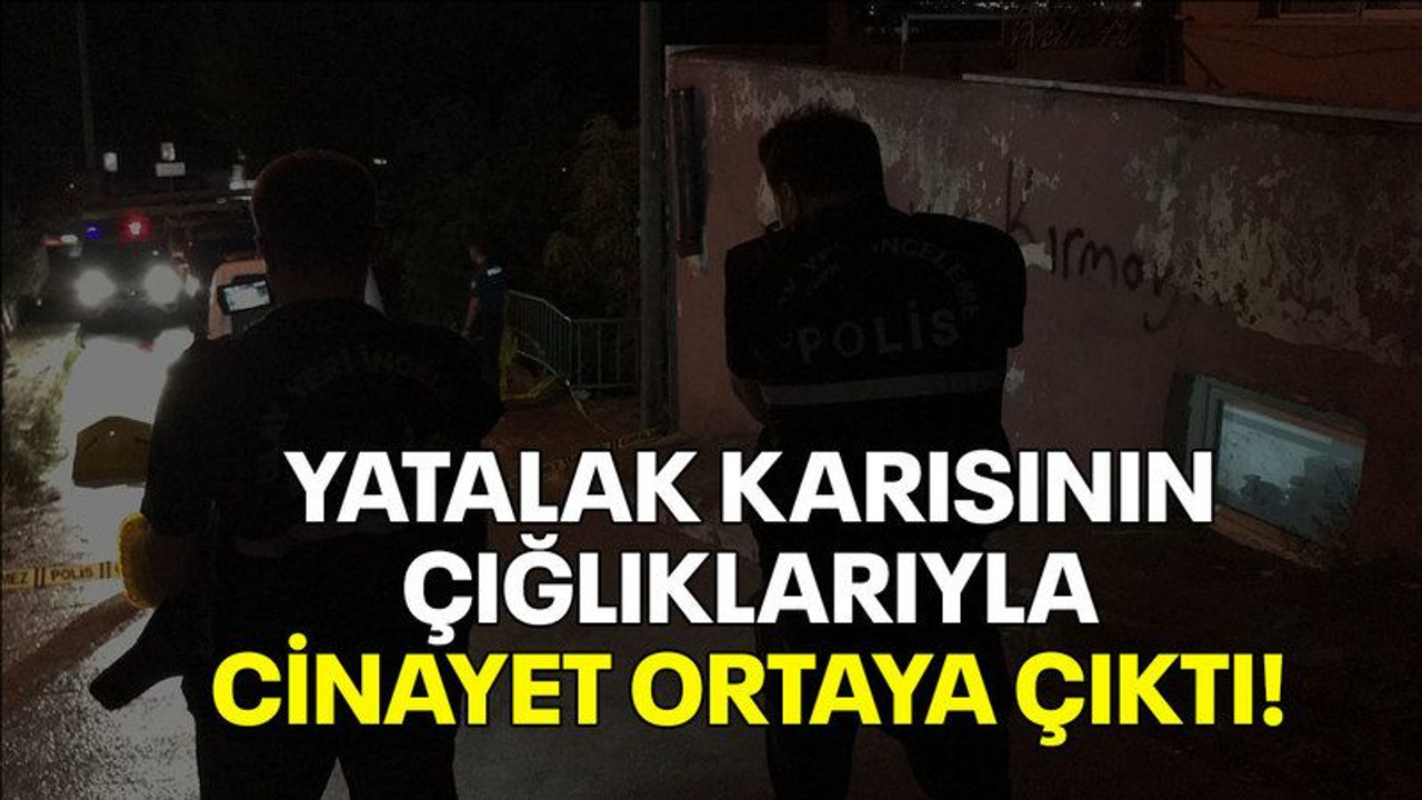 Yatalak karısının çığlıklarıyla cinayet ortaya çıktı